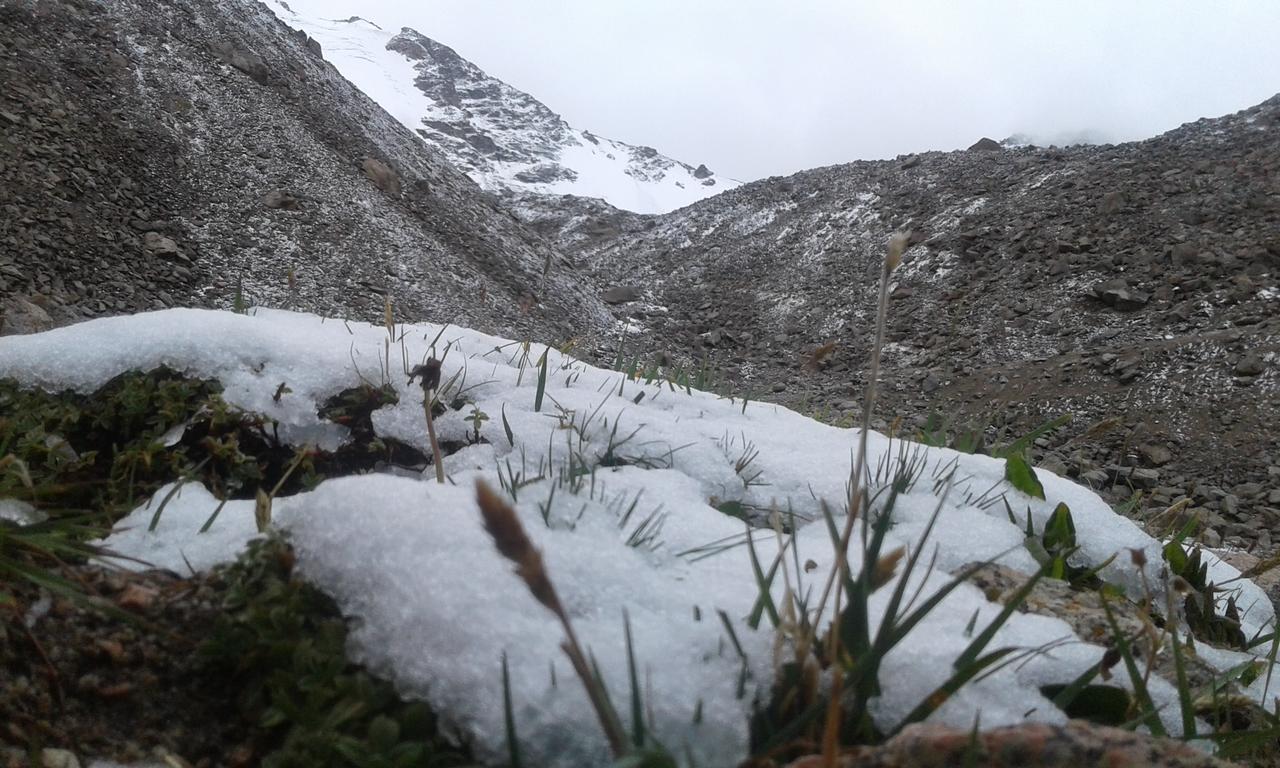 Trekking Center Hotel Bokonbayevo Bagian luar foto