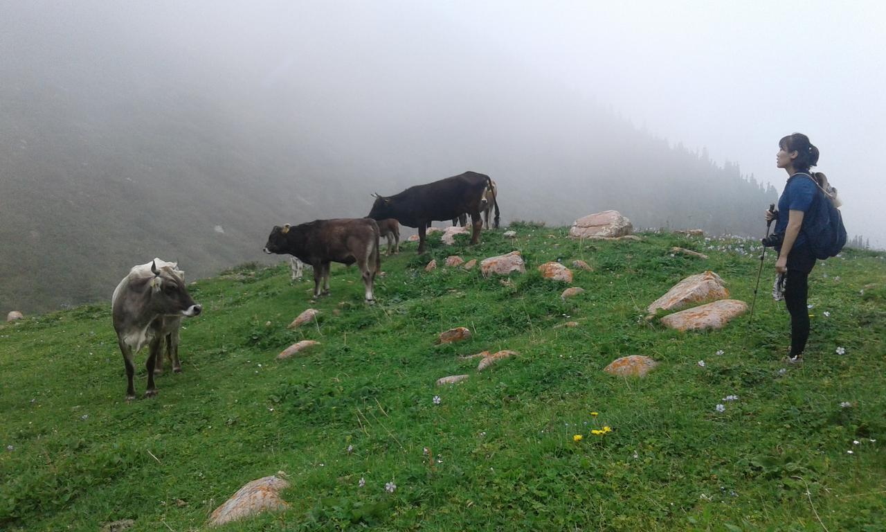 Trekking Center Hotel Bokonbayevo Bagian luar foto